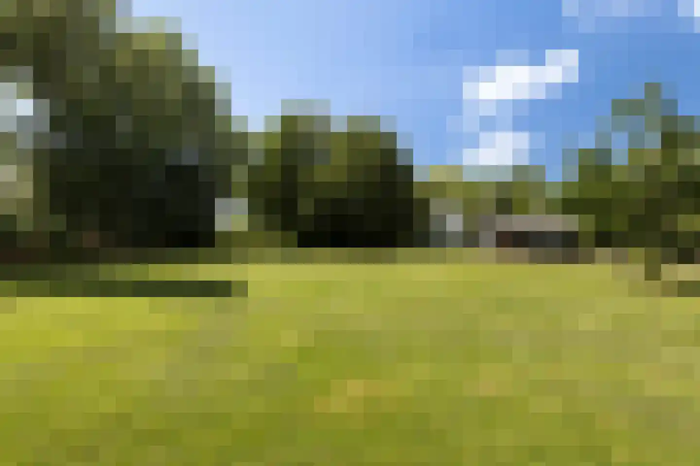 Provincialeweg 3 Mijnsheerenland thumbnail 69