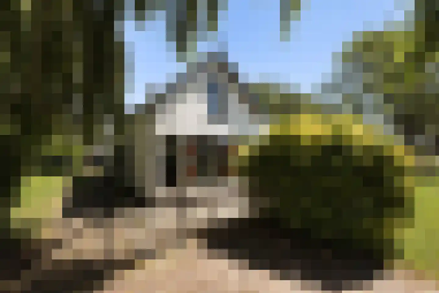Provincialeweg 3 Mijnsheerenland thumbnail 7