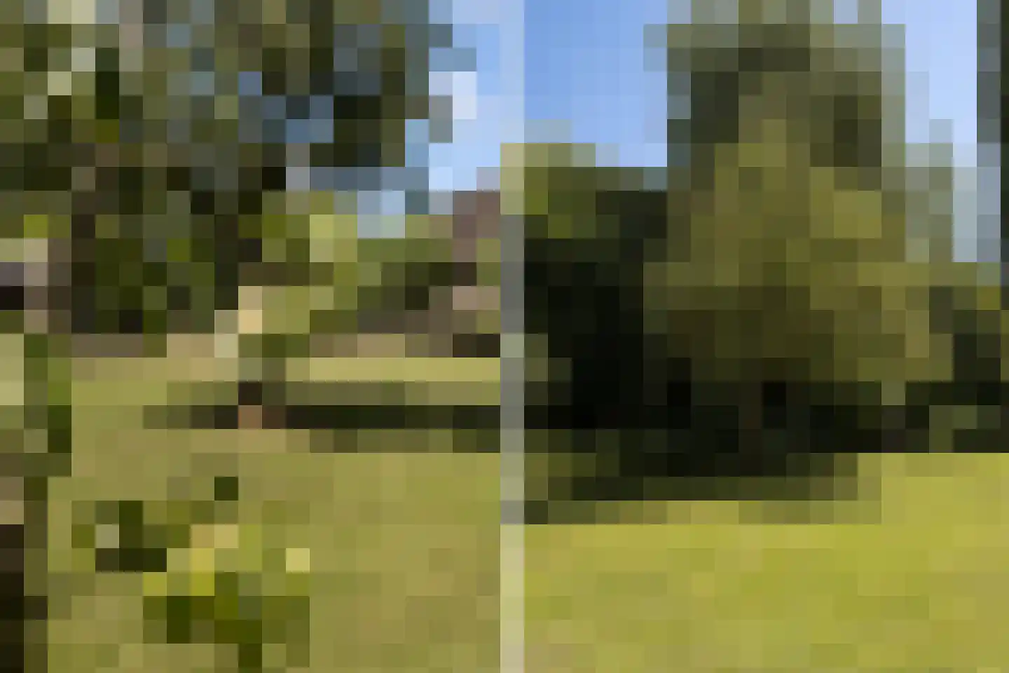 Provincialeweg 3 Mijnsheerenland thumbnail 70