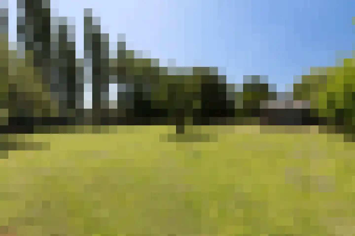 Provincialeweg 3 Mijnsheerenland thumbnail 71