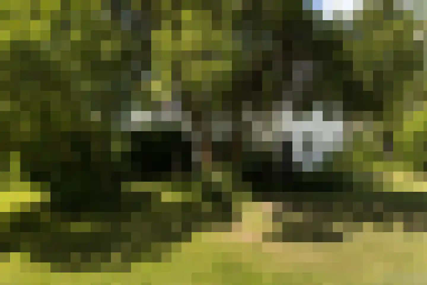 Provincialeweg 3 Mijnsheerenland thumbnail 72