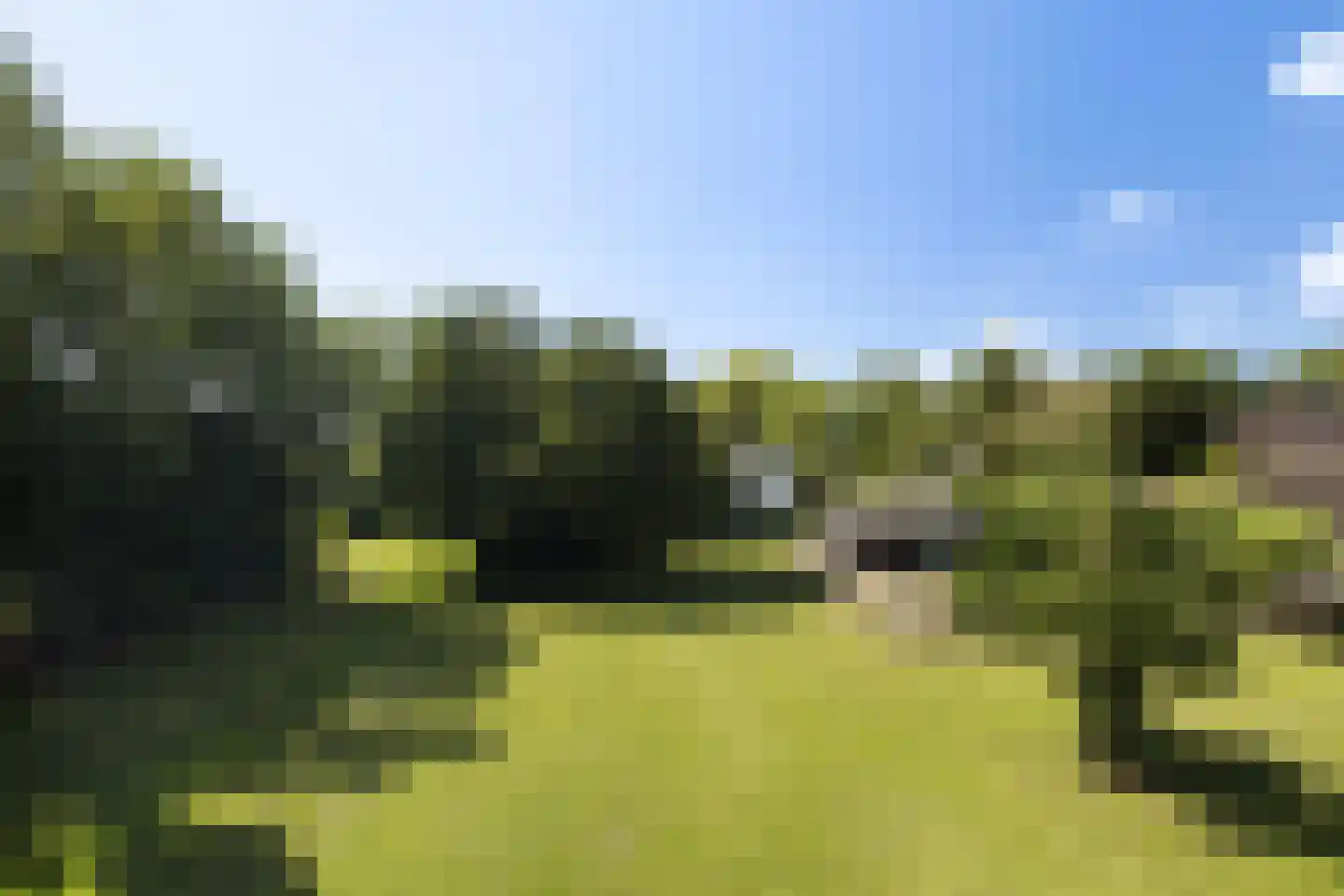Provincialeweg 3 Mijnsheerenland thumbnail 73