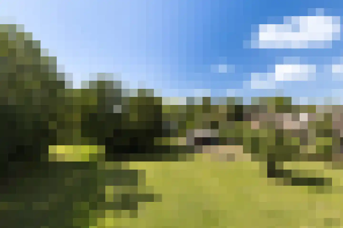 Provincialeweg 3 Mijnsheerenland thumbnail 74