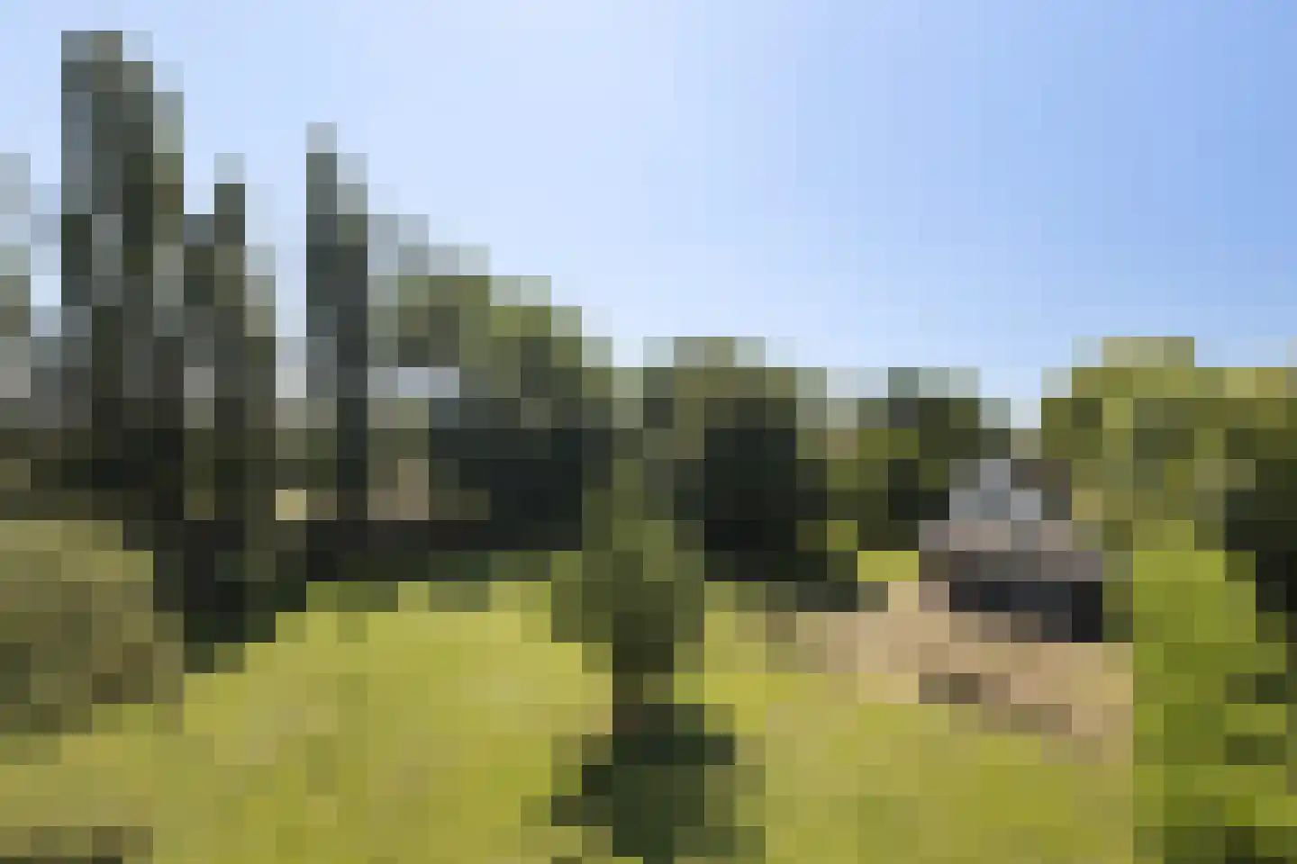 Provincialeweg 3 Mijnsheerenland thumbnail 75