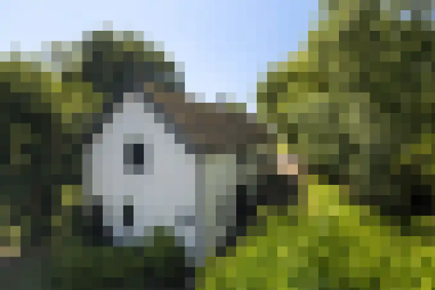 Provincialeweg 3 Mijnsheerenland thumbnail 76