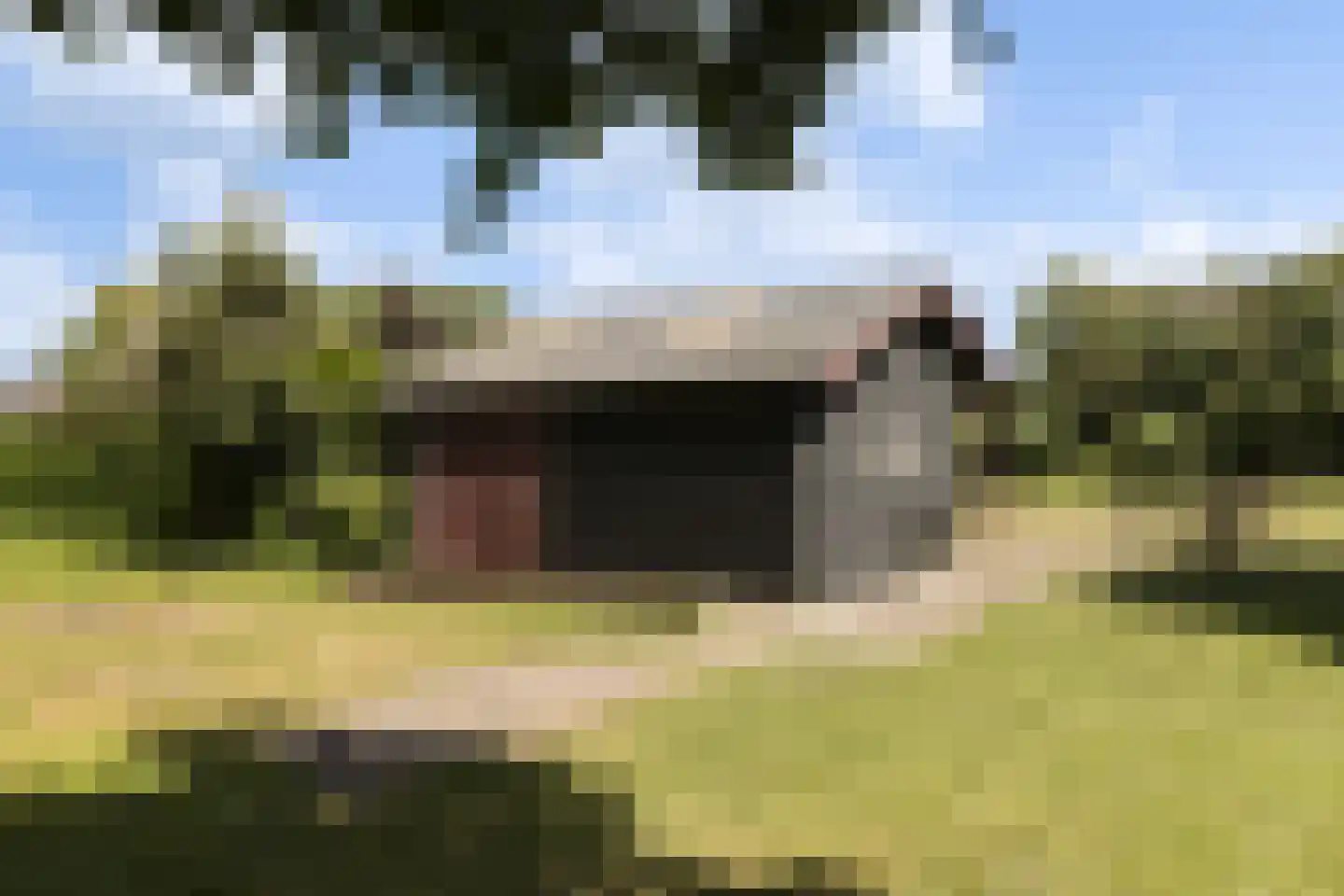 Provincialeweg 3 Mijnsheerenland thumbnail 78
