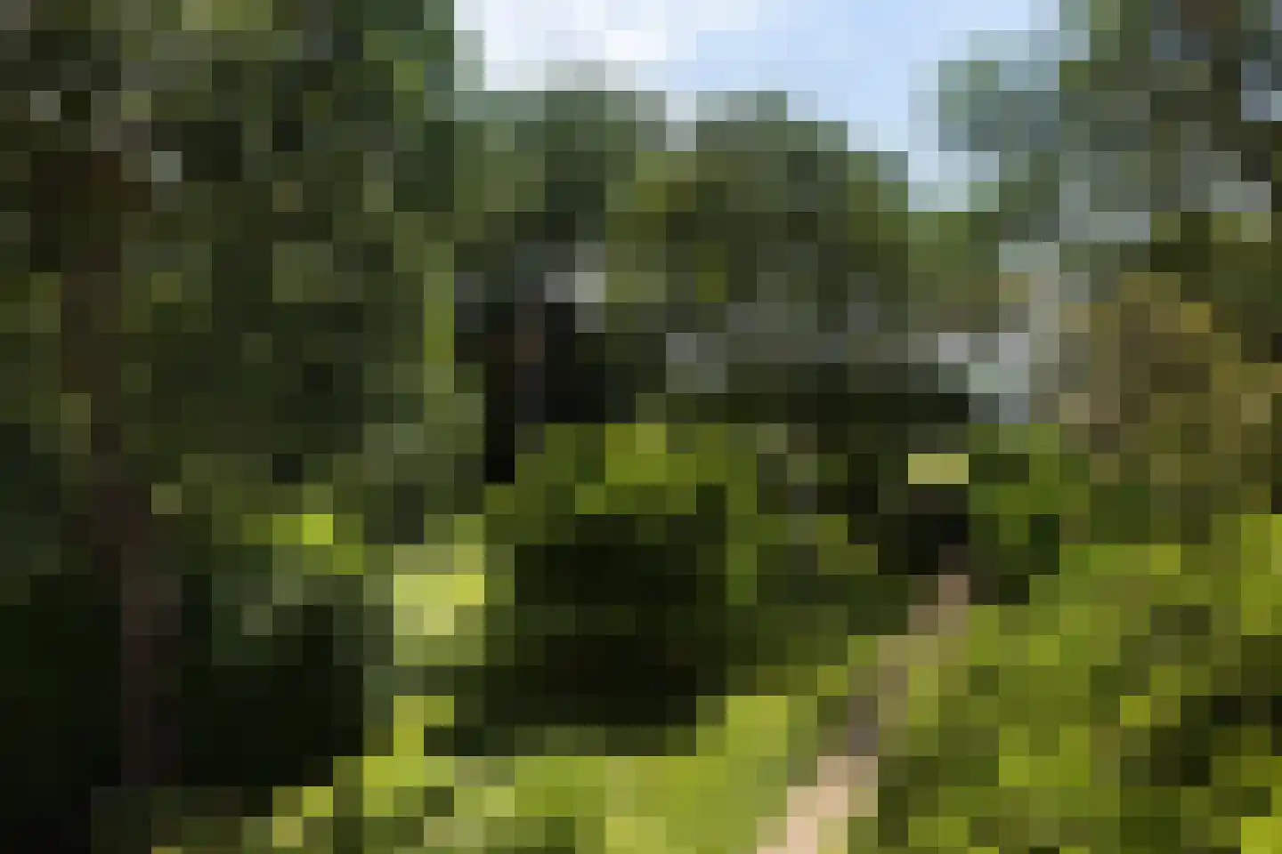 Provincialeweg 3 Mijnsheerenland thumbnail 79