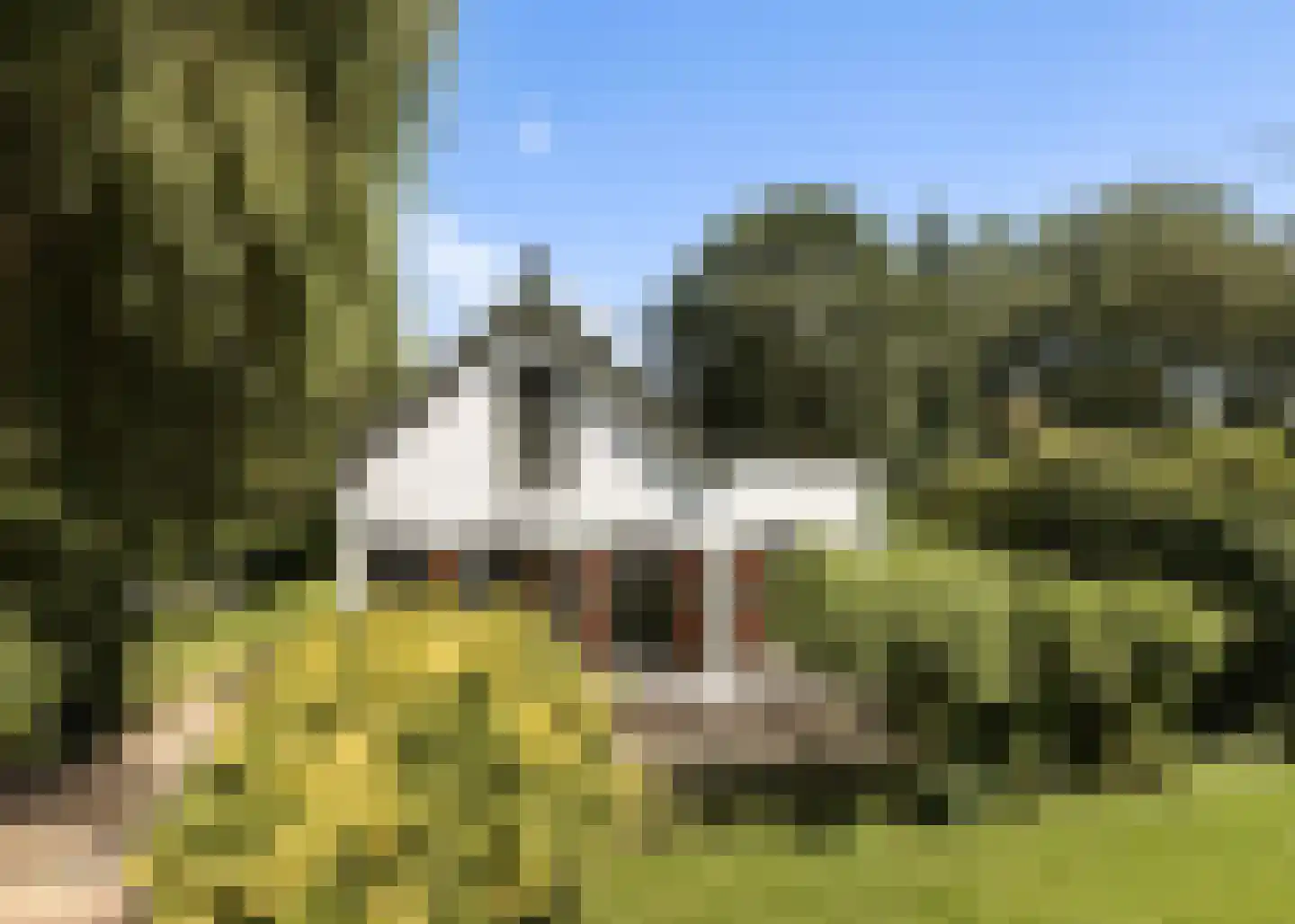 Provincialeweg 3 Mijnsheerenland thumbnail 8