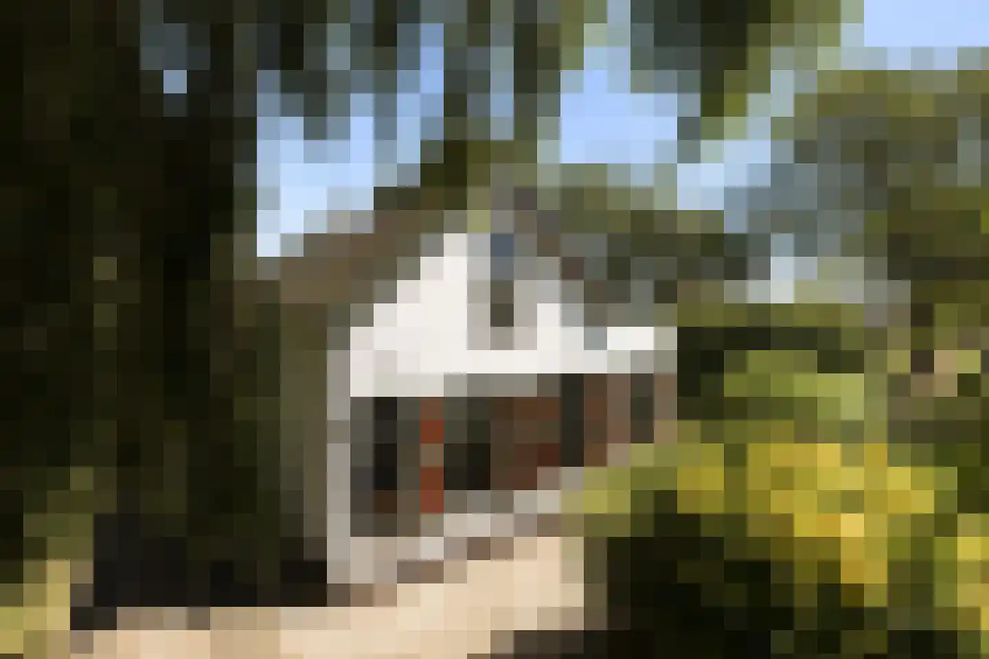 Provincialeweg 3 Mijnsheerenland thumbnail 9