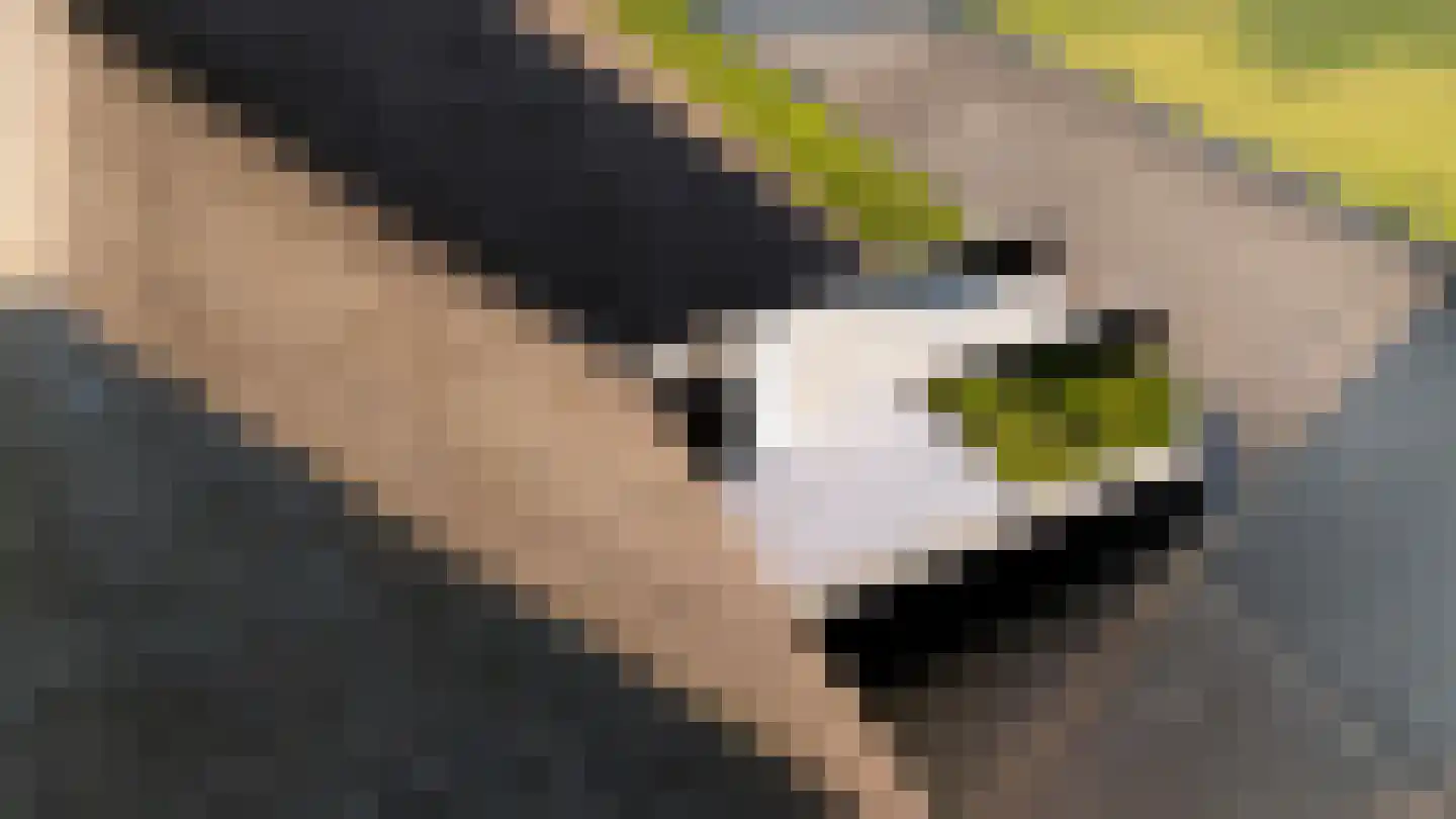 Provincialeweg 3 Zuidzande thumbnail 5