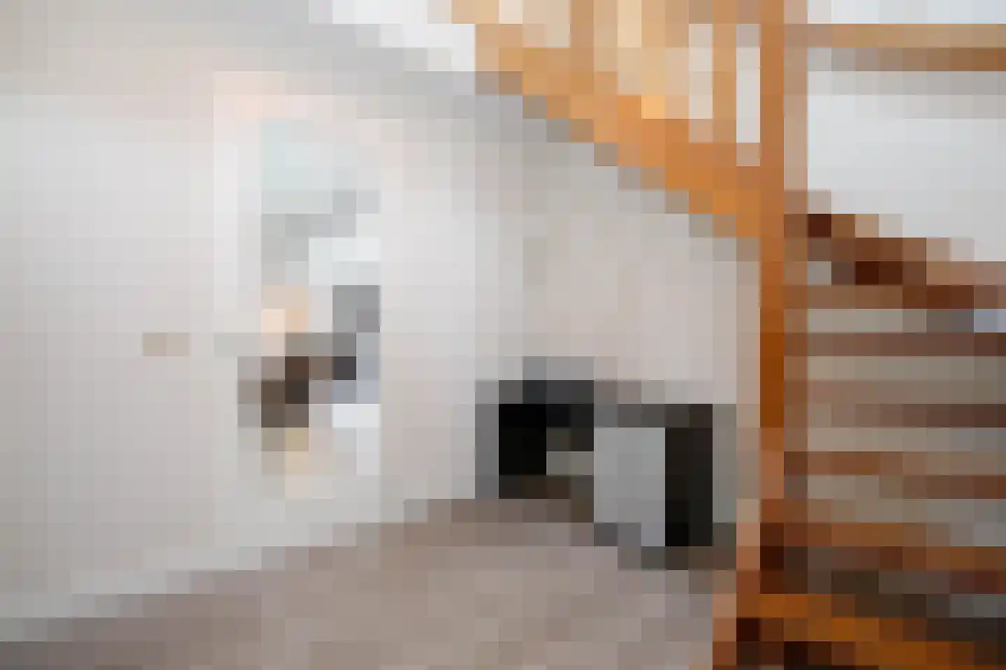 Provincialeweg 30 Bergambacht thumbnail 18
