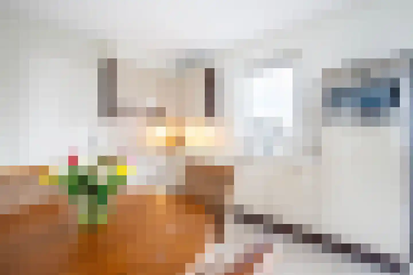 Provincialeweg 30 Bergambacht thumbnail 34