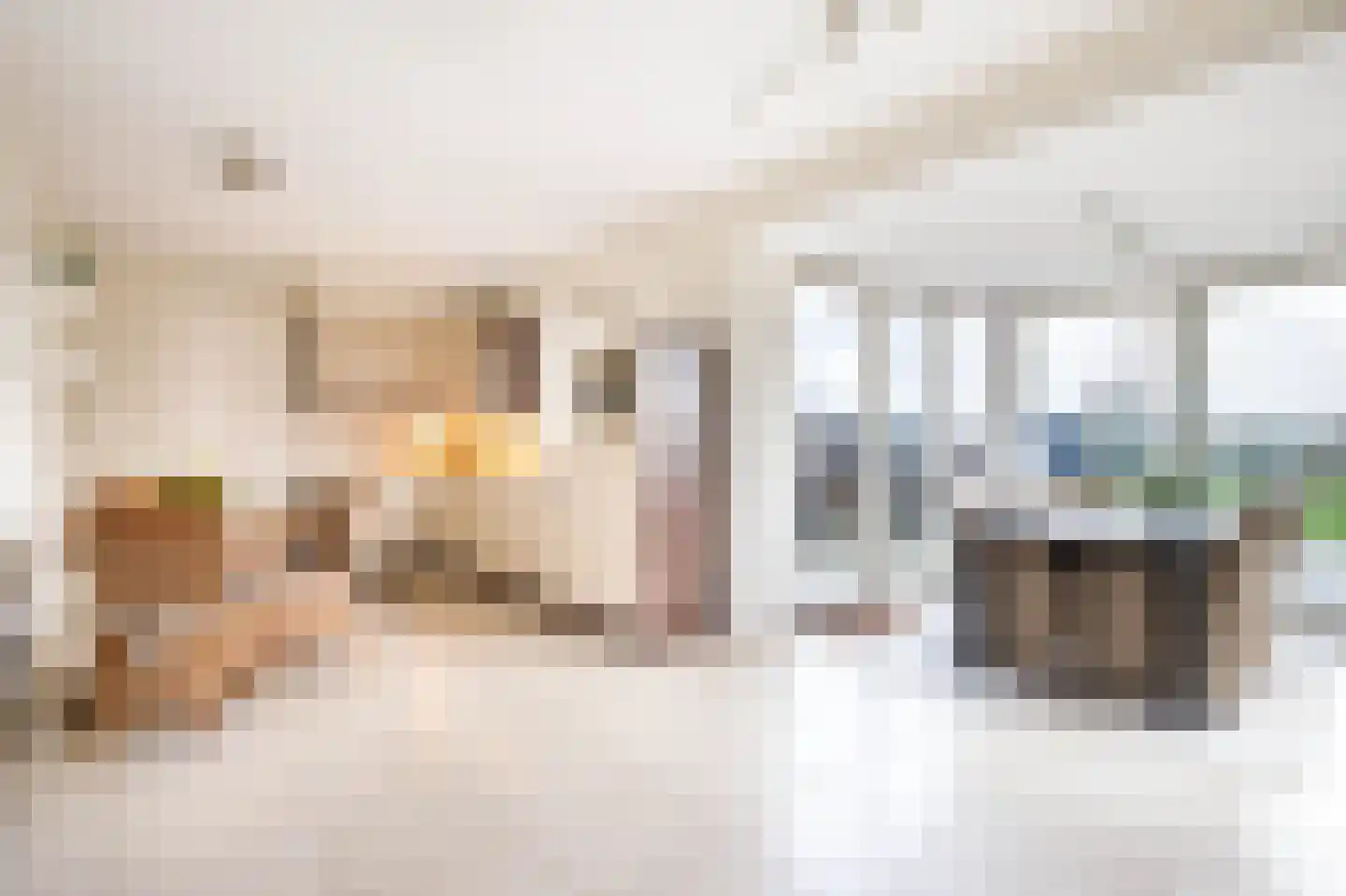 Provincialeweg 30 Bergambacht thumbnail 36