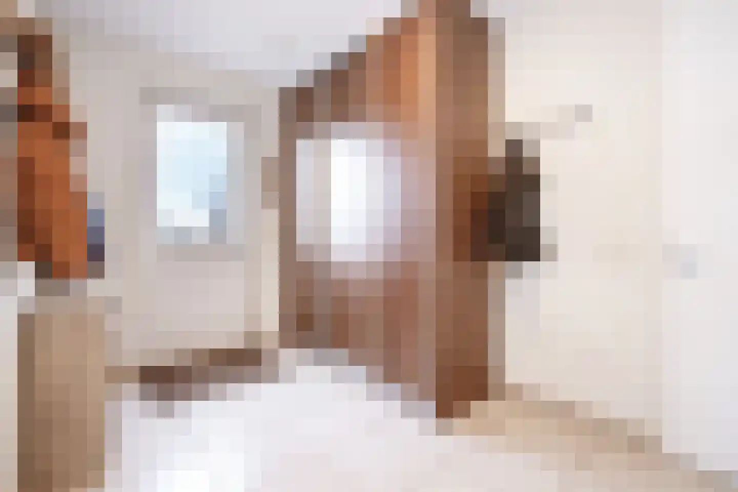 Provincialeweg 30 Bergambacht thumbnail 7