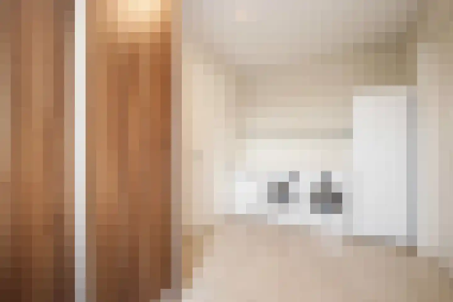 Provincialeweg 30 Bergambacht thumbnail 8