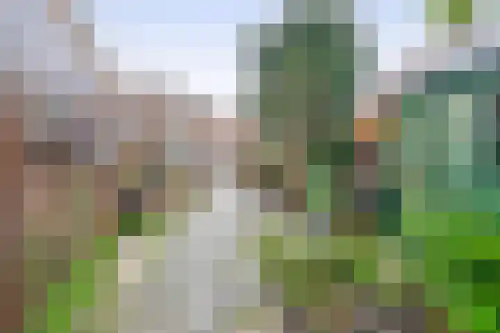 Provincialeweg 31 Krommenie thumbnail 23