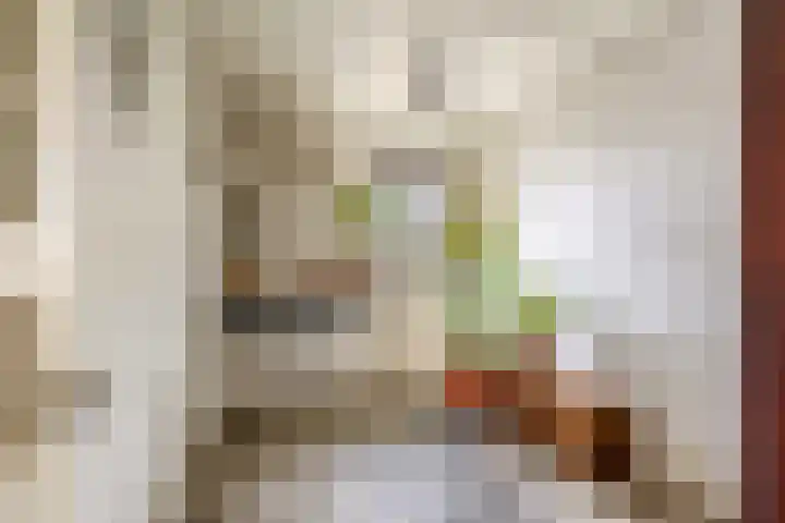 Provincialeweg 31 Krommenie thumbnail 41