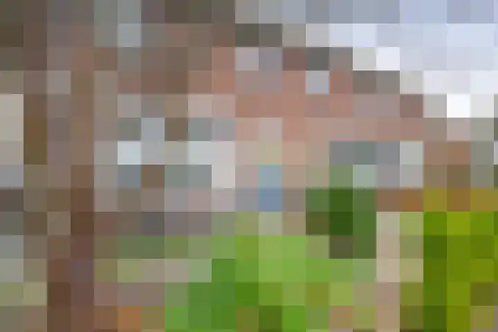 Provincialeweg 31 Krommenie thumbnail 5