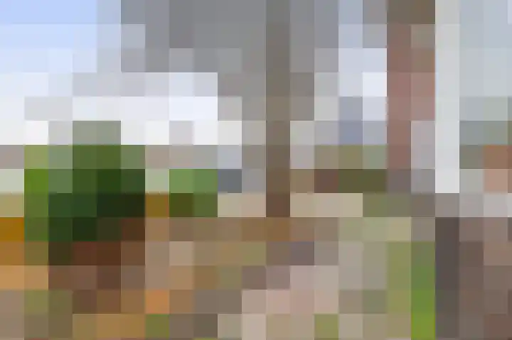 Provincialeweg 31 Krommenie thumbnail 51