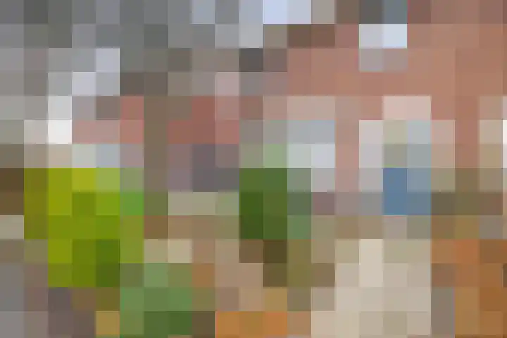 Provincialeweg 31 Krommenie thumbnail 6