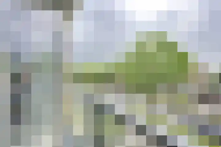 Provincialeweg 32 g Bunnik thumbnail 12