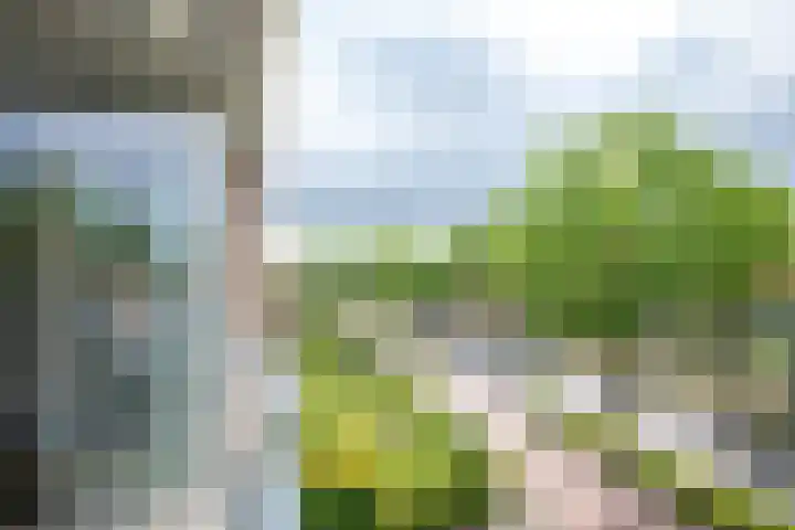 Provincialeweg 32 g Bunnik thumbnail 13