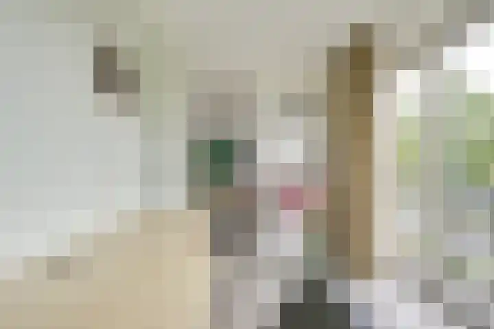 Provincialeweg 32 g Bunnik thumbnail 18