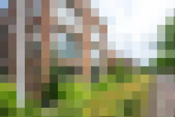 Provincialeweg 32 g Bunnik thumbnail 38