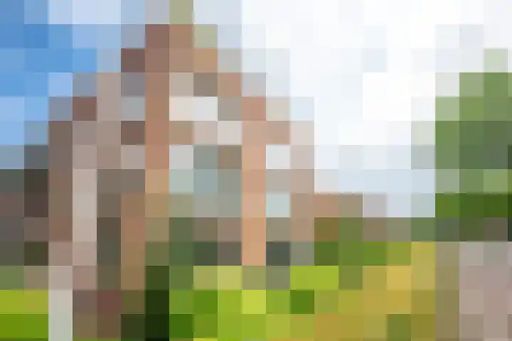 Provincialeweg 32 g Bunnik thumbnail 39
