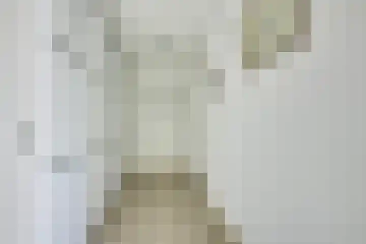 Provincialeweg 32 g Bunnik thumbnail 4
