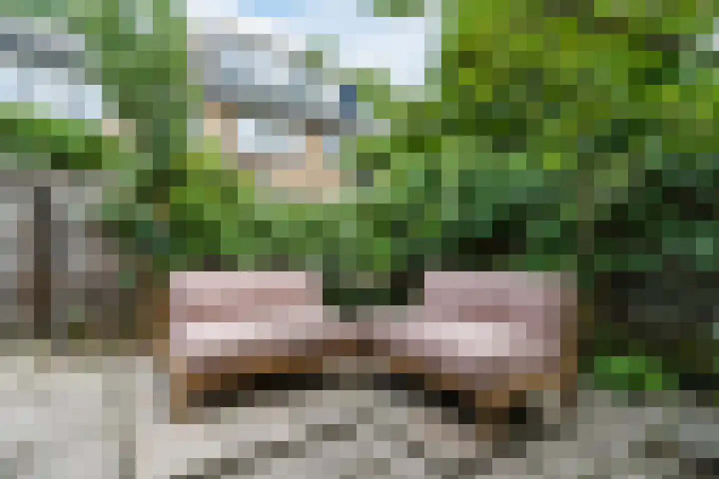 Provincialeweg 324 Zaandam thumbnail 42