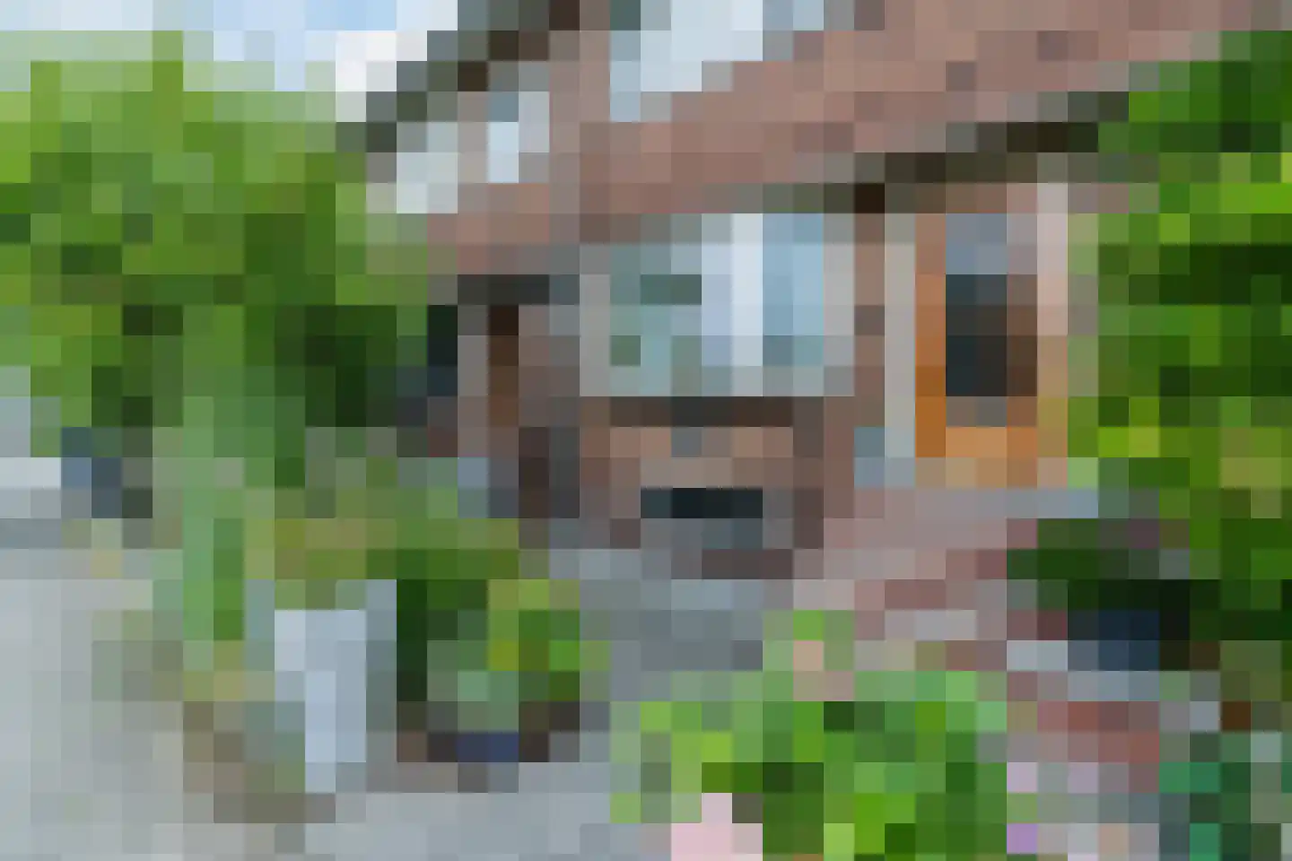 Provincialeweg 324 Zaandam thumbnail 6