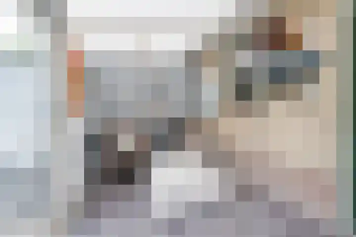 Provincialeweg 36 B Oosteind thumbnail 29