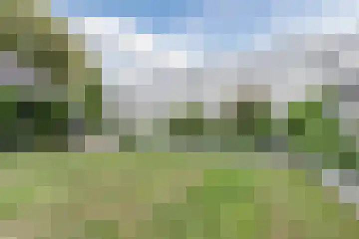 Provincialeweg 36 B Oosteind thumbnail 31