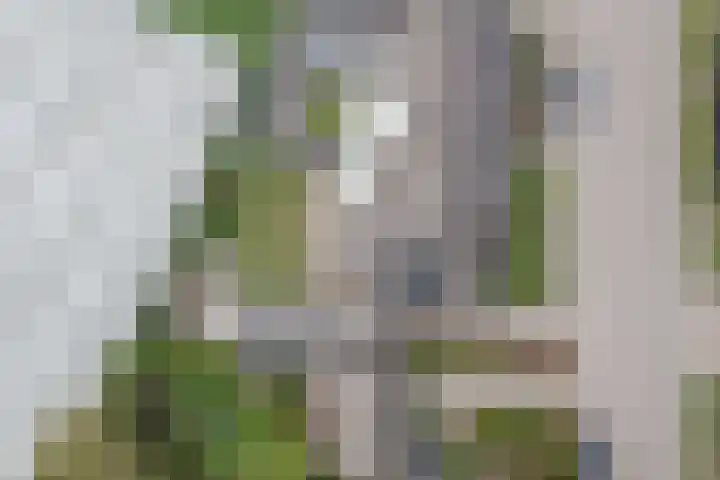 Provincialeweg 36 B Oosteind thumbnail 36