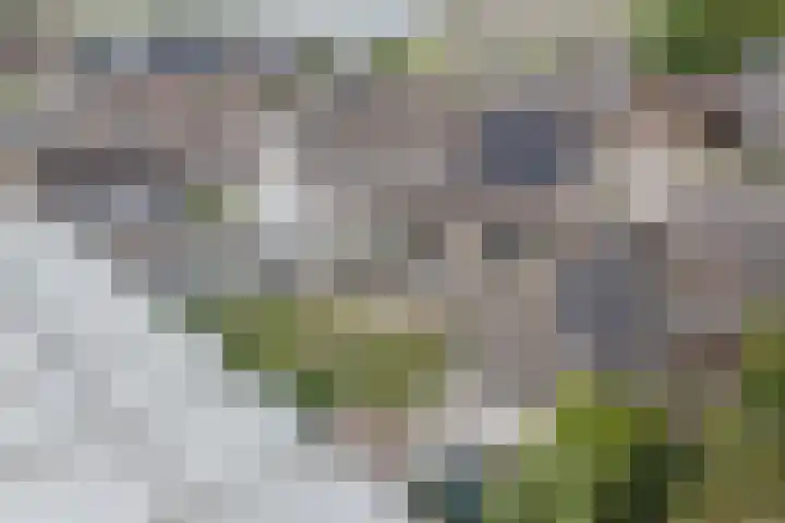 Provincialeweg 36 B Oosteind thumbnail 38