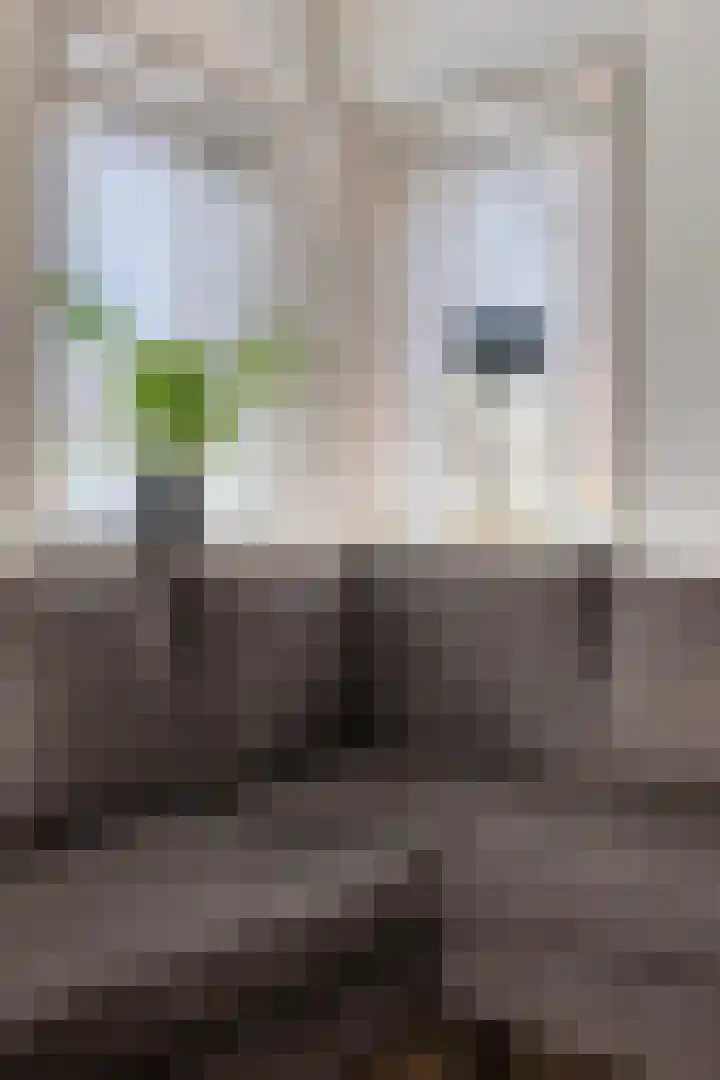 Provincialeweg 39 Heiligerlee thumbnail 18
