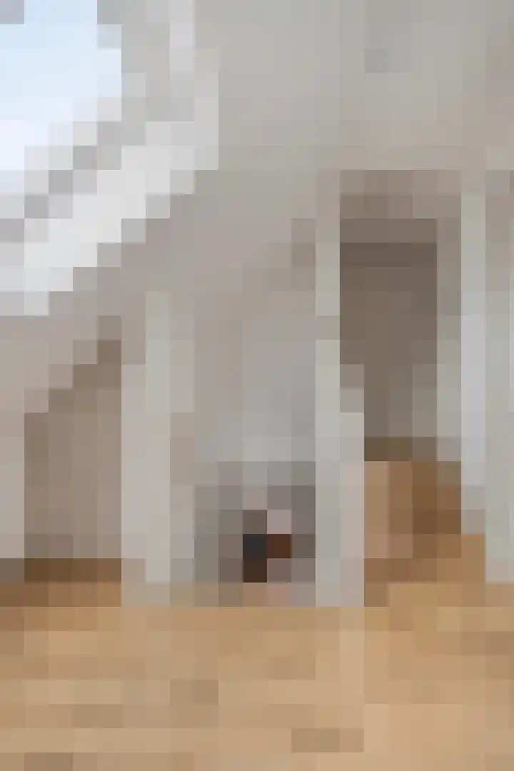 Provincialeweg 39 Heiligerlee thumbnail 32