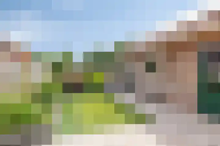 Provincialeweg 39 Heiligerlee thumbnail 44