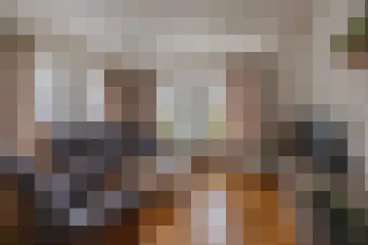 Provincialeweg 39 Sebaldeburen thumbnail 11