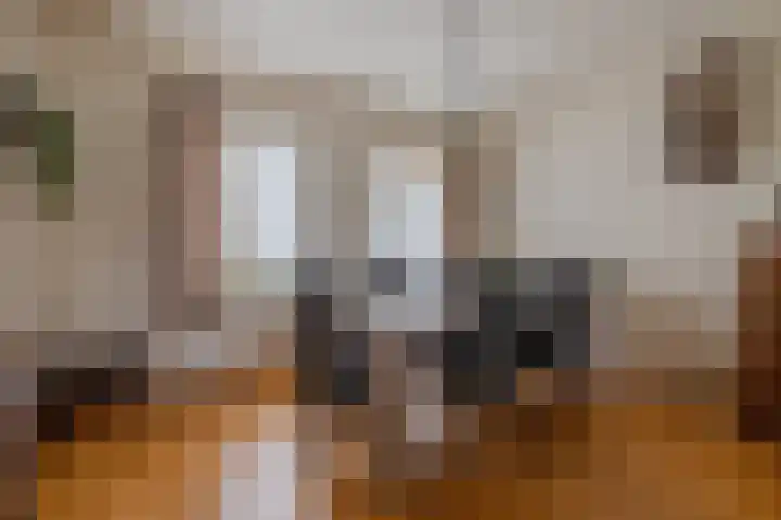 Provincialeweg 39 Sebaldeburen thumbnail 13