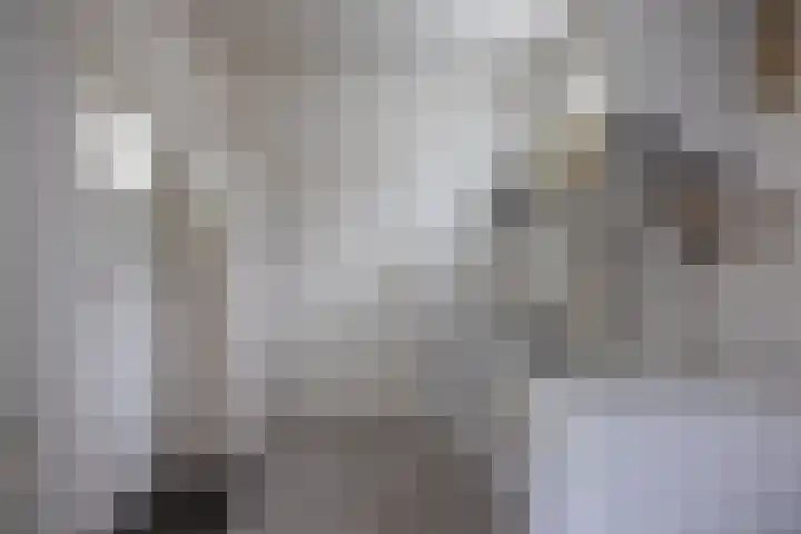 Provincialeweg 39 Sebaldeburen thumbnail 22