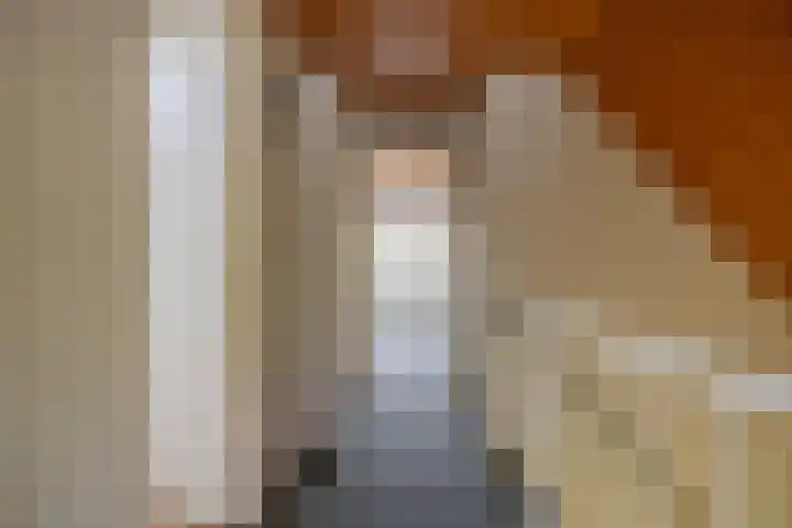 Provincialeweg 39 Sebaldeburen thumbnail 27