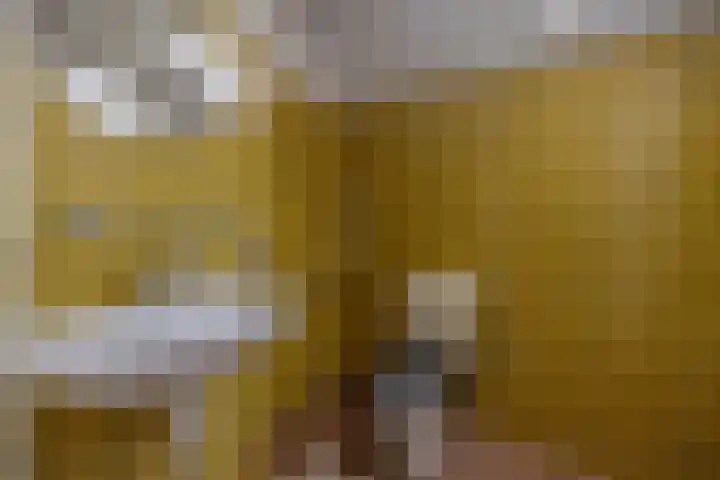 Provincialeweg 39 Sebaldeburen thumbnail 31