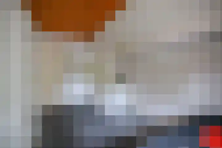 Provincialeweg 39 Sebaldeburen thumbnail 35
