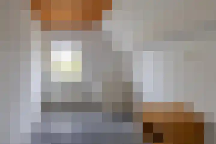Provincialeweg 39 Sebaldeburen thumbnail 36
