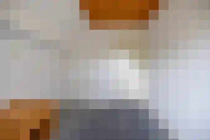 Provincialeweg 39 Sebaldeburen thumbnail 37