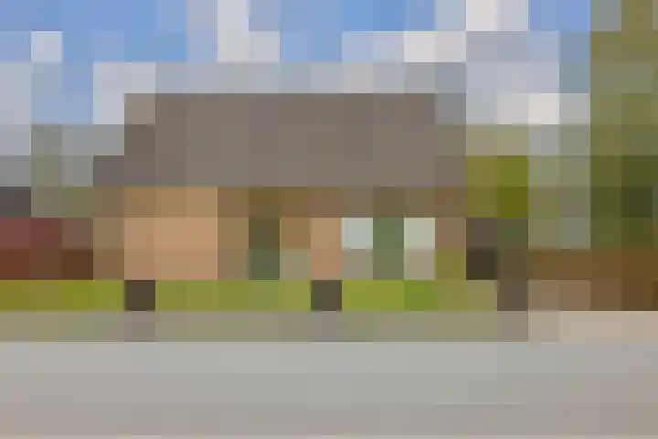 Provincialeweg 39 Sebaldeburen thumbnail 4