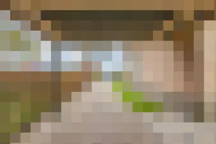 Provincialeweg 39 Sebaldeburen thumbnail 41