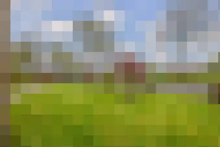 Provincialeweg 39 Sebaldeburen thumbnail 42